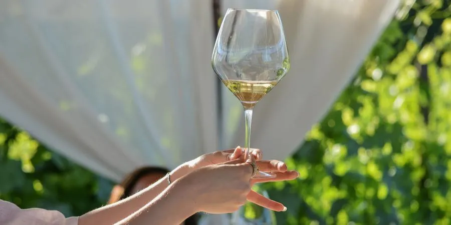 Pranzo tra i vigneti e degustazione vini a San Gimignano