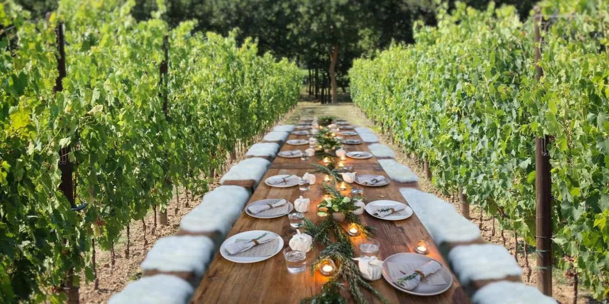 Pranzo tra i vigneti e degustazione vini a San Gimignano
