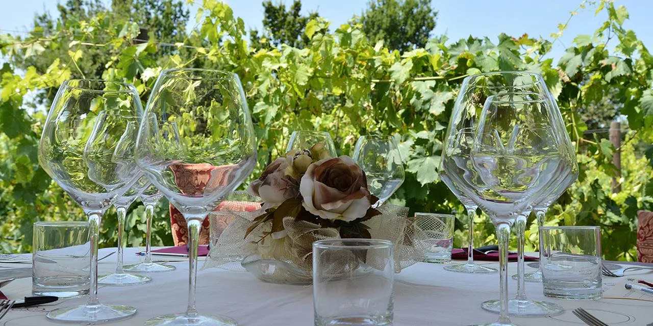 Pranzo tra i vigneti e degustazione vini a San Gimignano