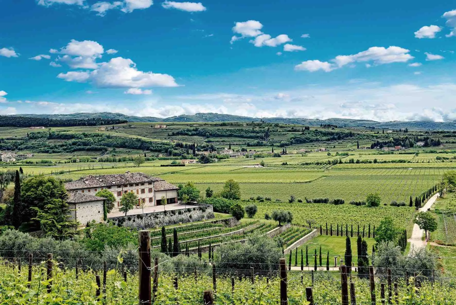 Visita in cantina e degustazione di vini alle Tenute Ugolini