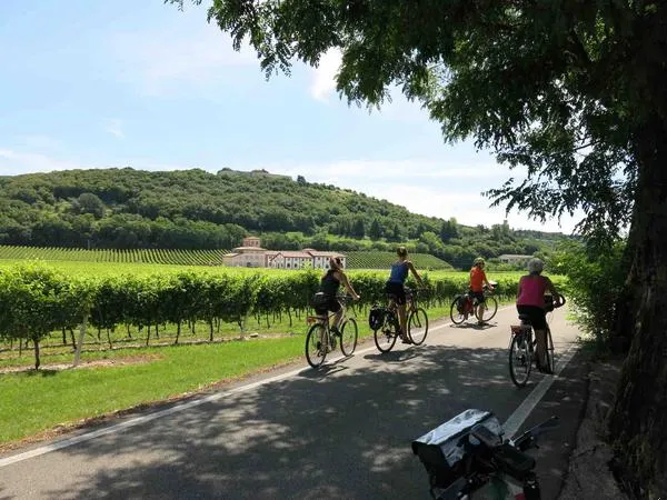 Amarone e-bike tour in Valpolicella da Verona