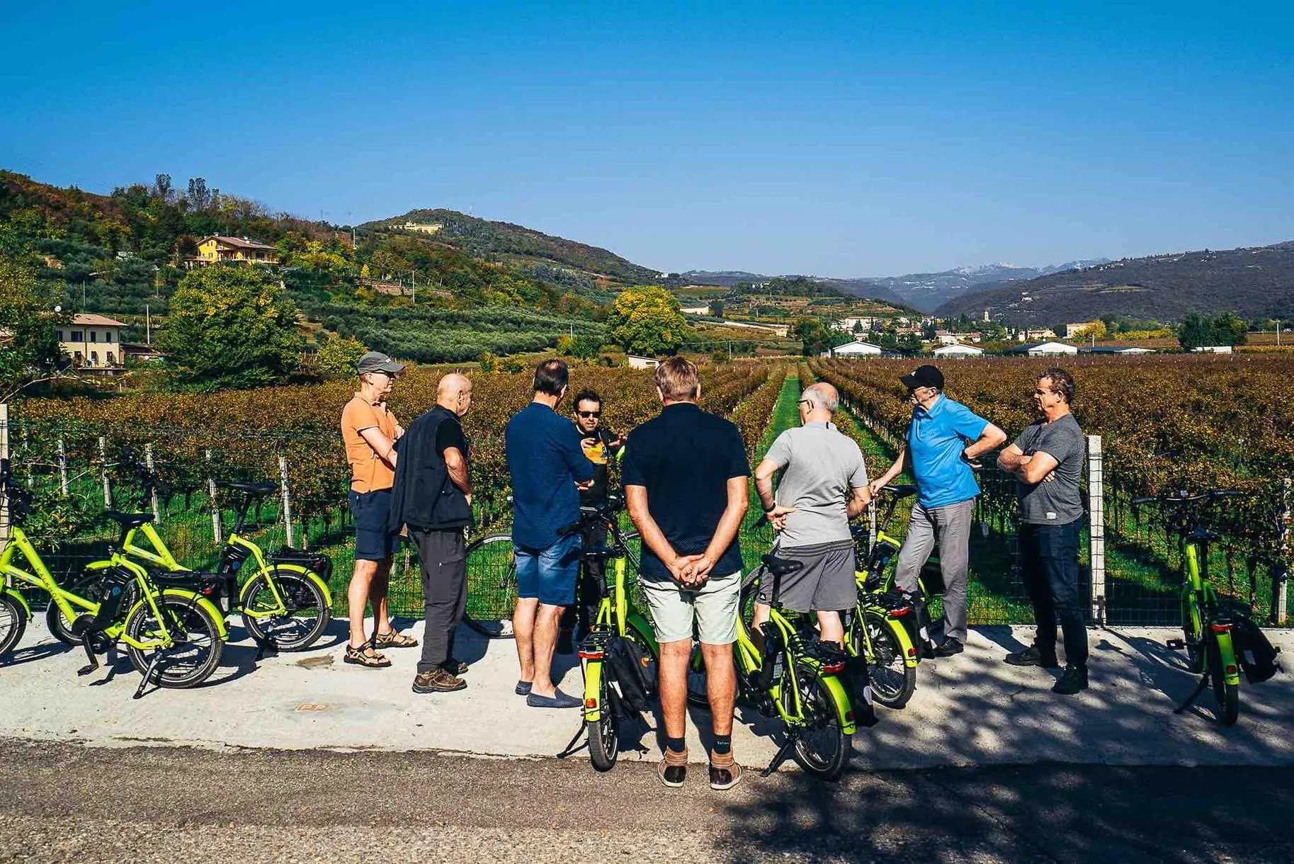 Amarone e-bike tour in Valpolicella da Verona