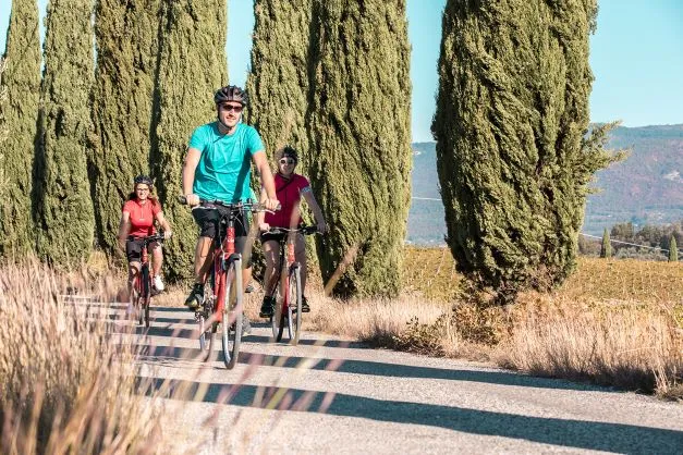 Giro in bici al lago di Garda da Verona con pranzo