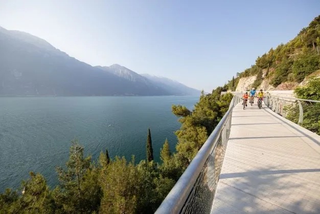 Giro in bici al lago di Garda da Verona con pranzo