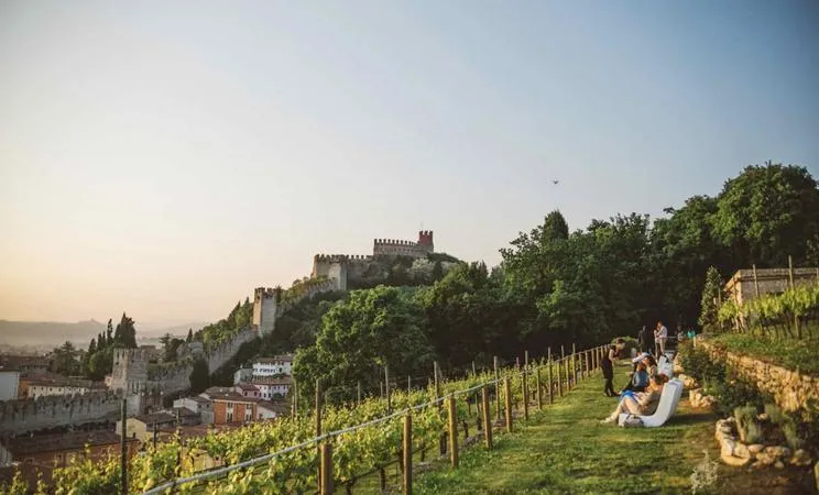 Visita in cantina e degustazione vini a Rocca Sveva