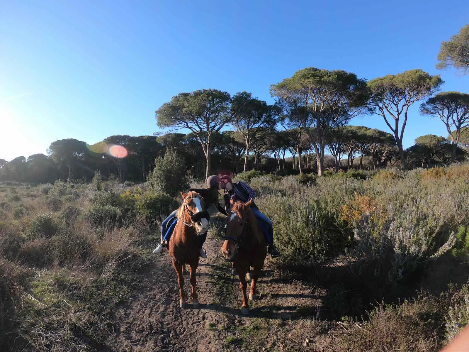 Passeggiata a Cavallo in riva al mare nella Maremma