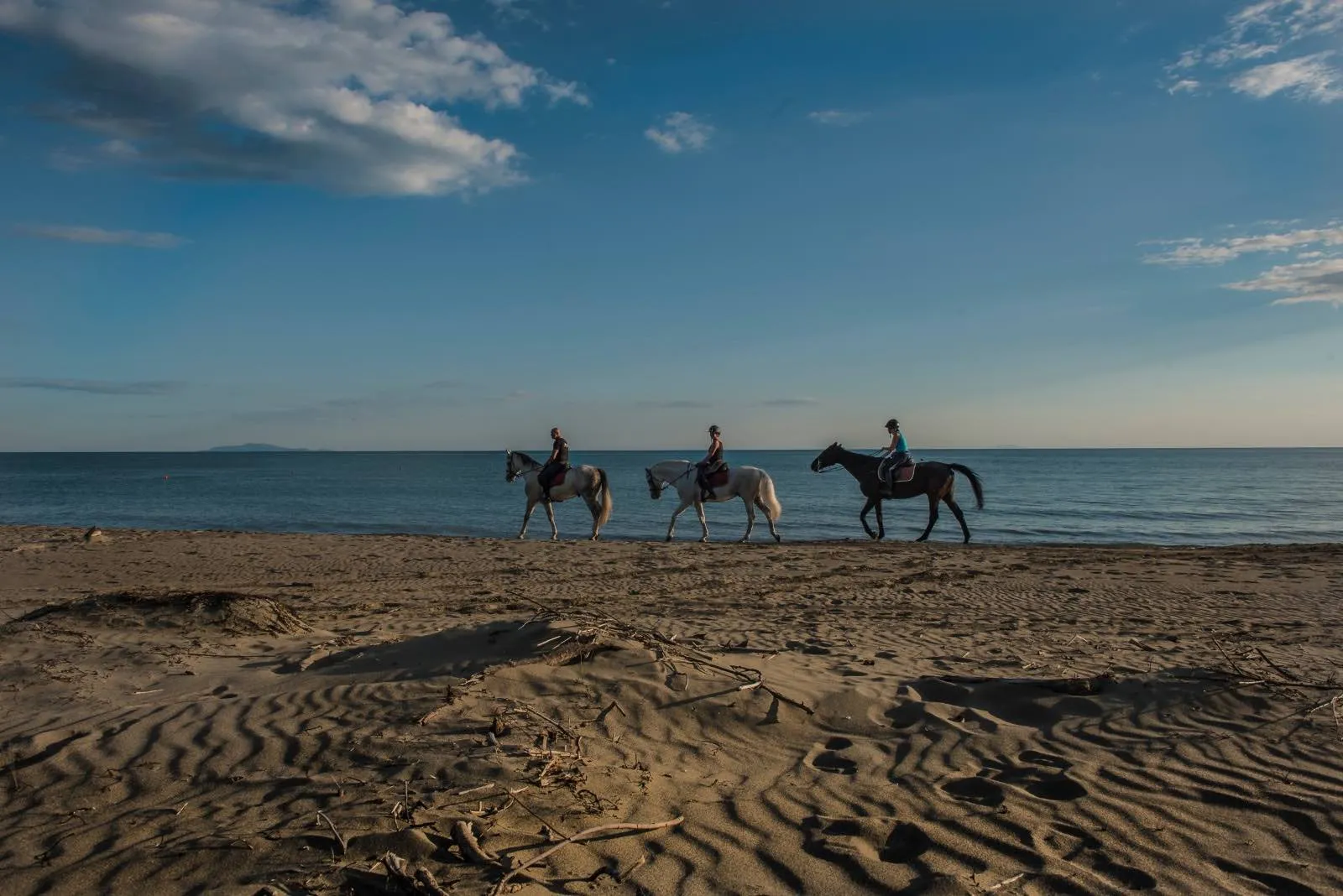 Passeggiata a Cavallo in riva al mare nella Maremma
