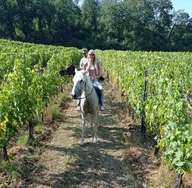 Gita a cavallo tra i vigneti e degustazione a San Gimignano