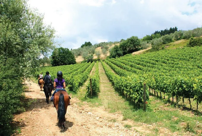 Gita a cavallo tra i vigneti e degustazione a San Gimignano