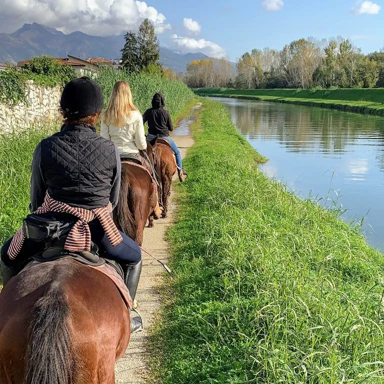 Passeggiata a Cavallo dietro a Forte dei Marmi