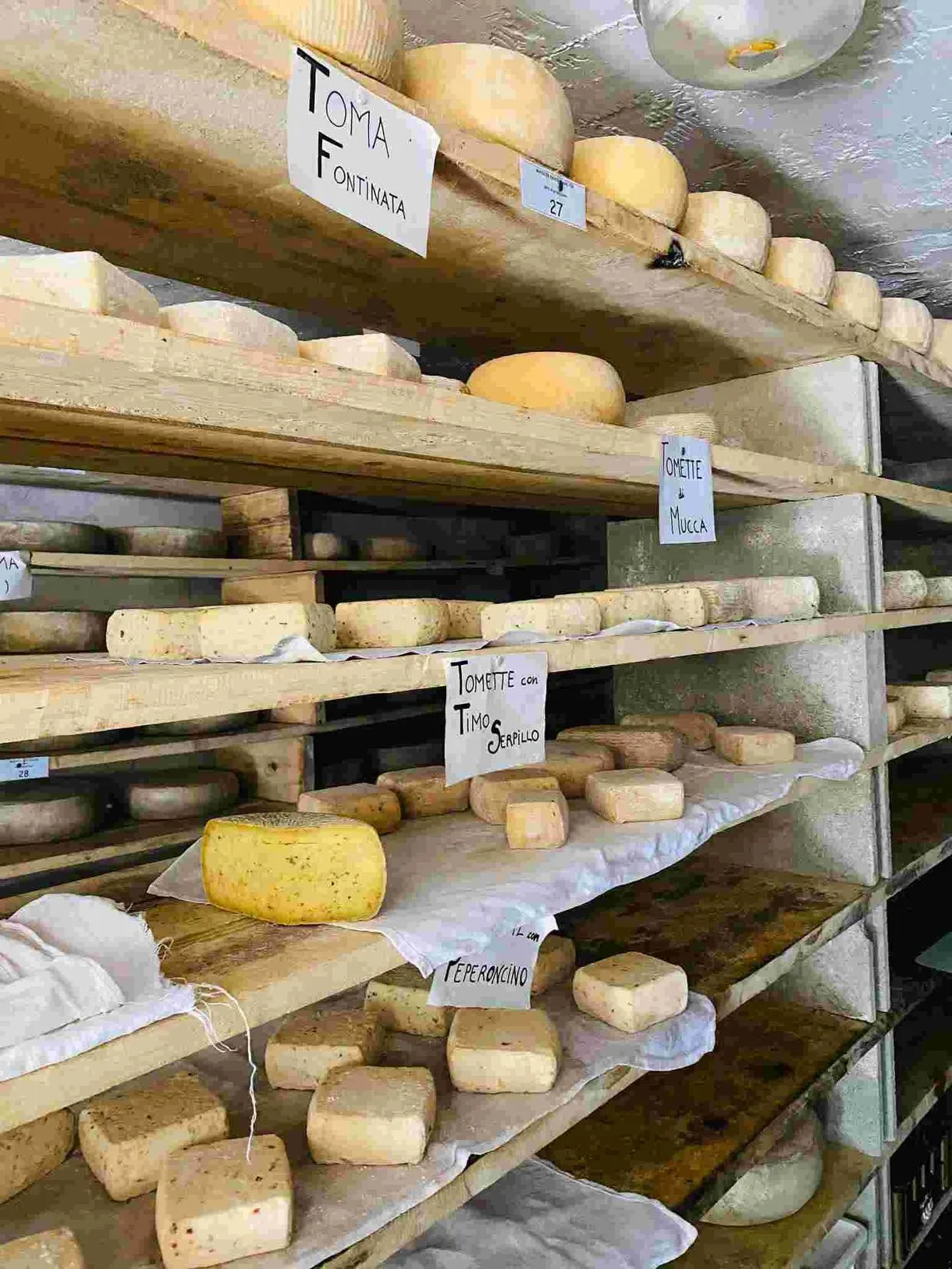 Escursione in quad a Sauze di Cesana