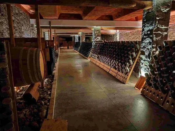 Degustazione vini e visita cantina a Sestri Levante