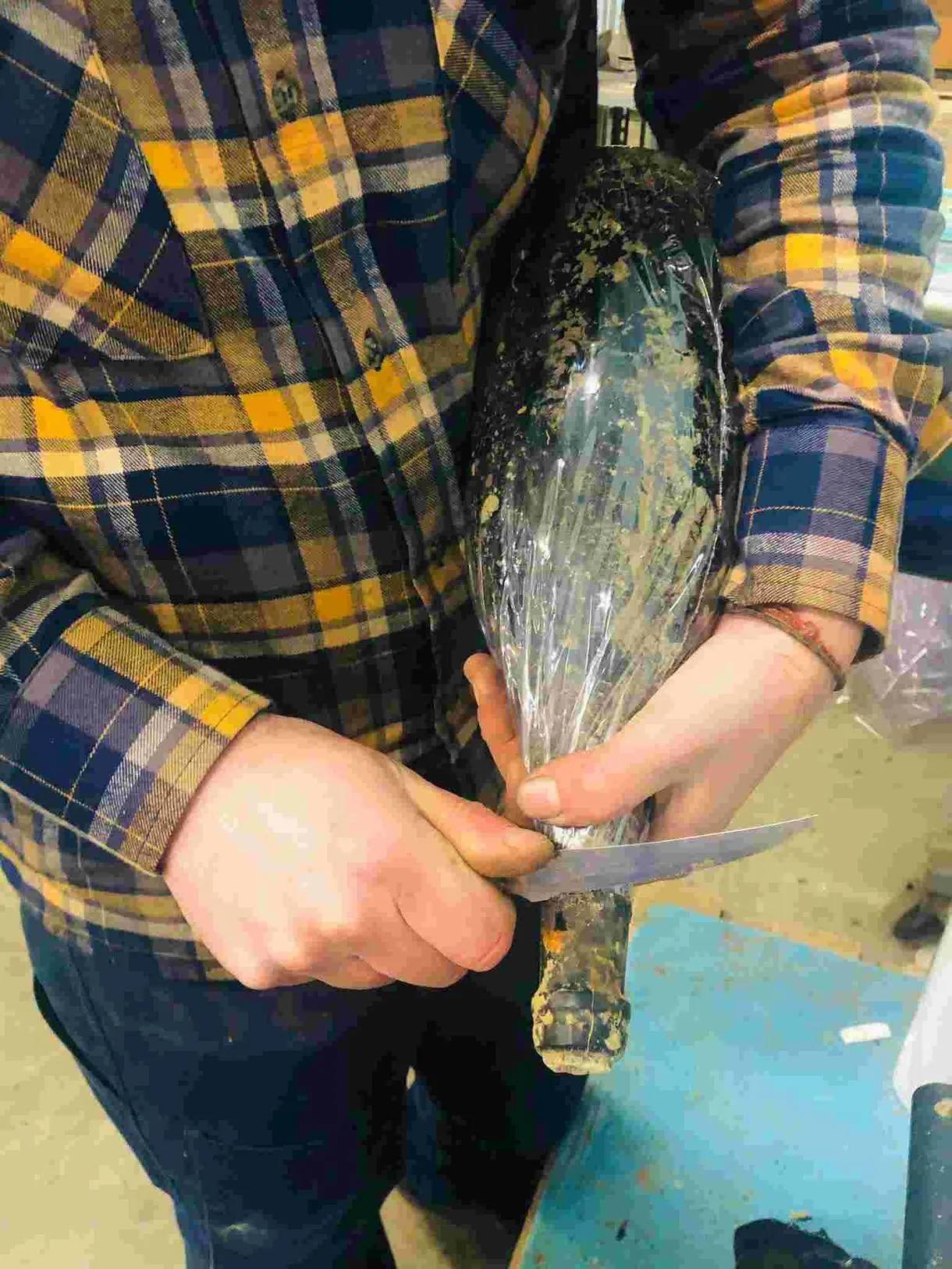 Degustazione vini e visita cantina a Sestri Levante