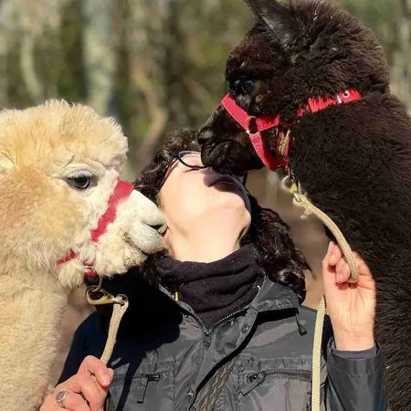 Passeggiata con alpaca a Scandicci sui Colli Fiorentini