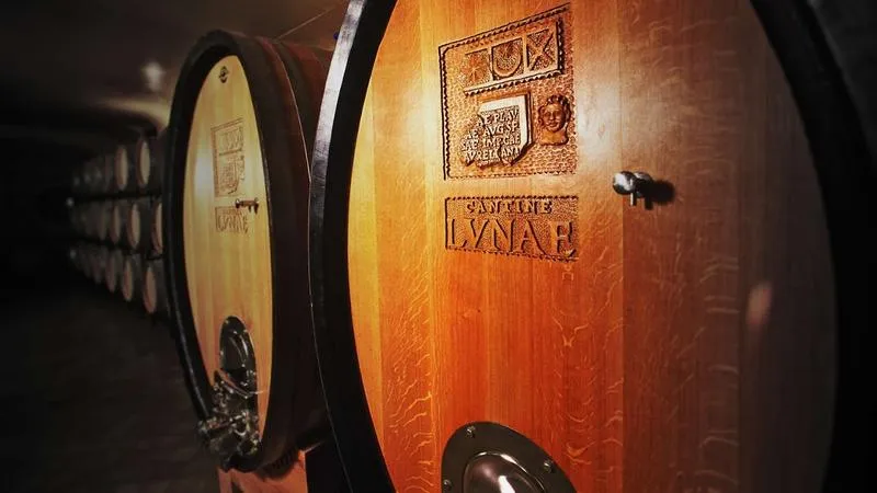 Visita e degustazione alle Cantine Lunae con merenda