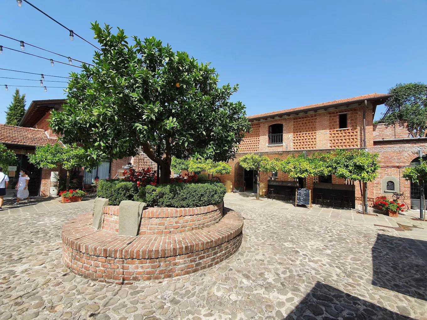 Visita e degustazione alle Cantine Lunae con merenda