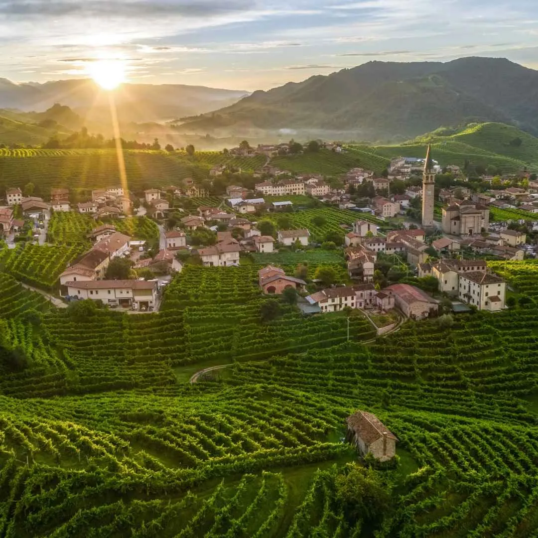 Visita in cantina e degustazione Prosecco alla cantina La Tordera