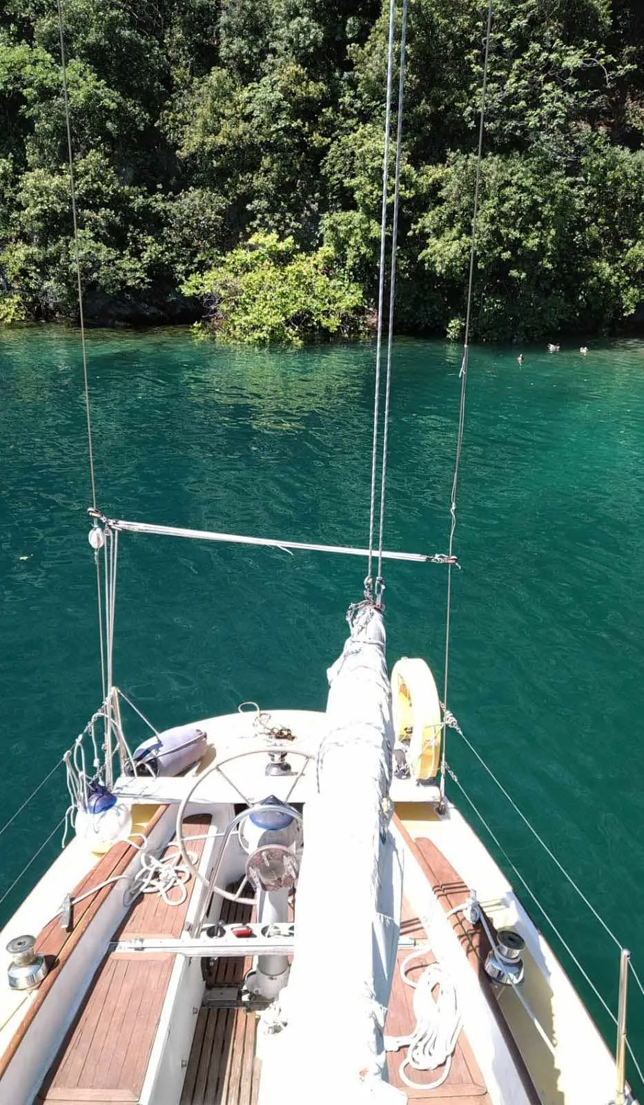 Giro privato in barca a vela sul Lago di Garda da Riva