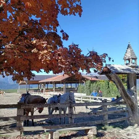 Passeggiata a cavallo nella Val di Non