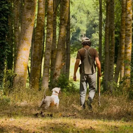 Ricerca tartufo nel bosco e pranzo al tartufo a San Gimignano
