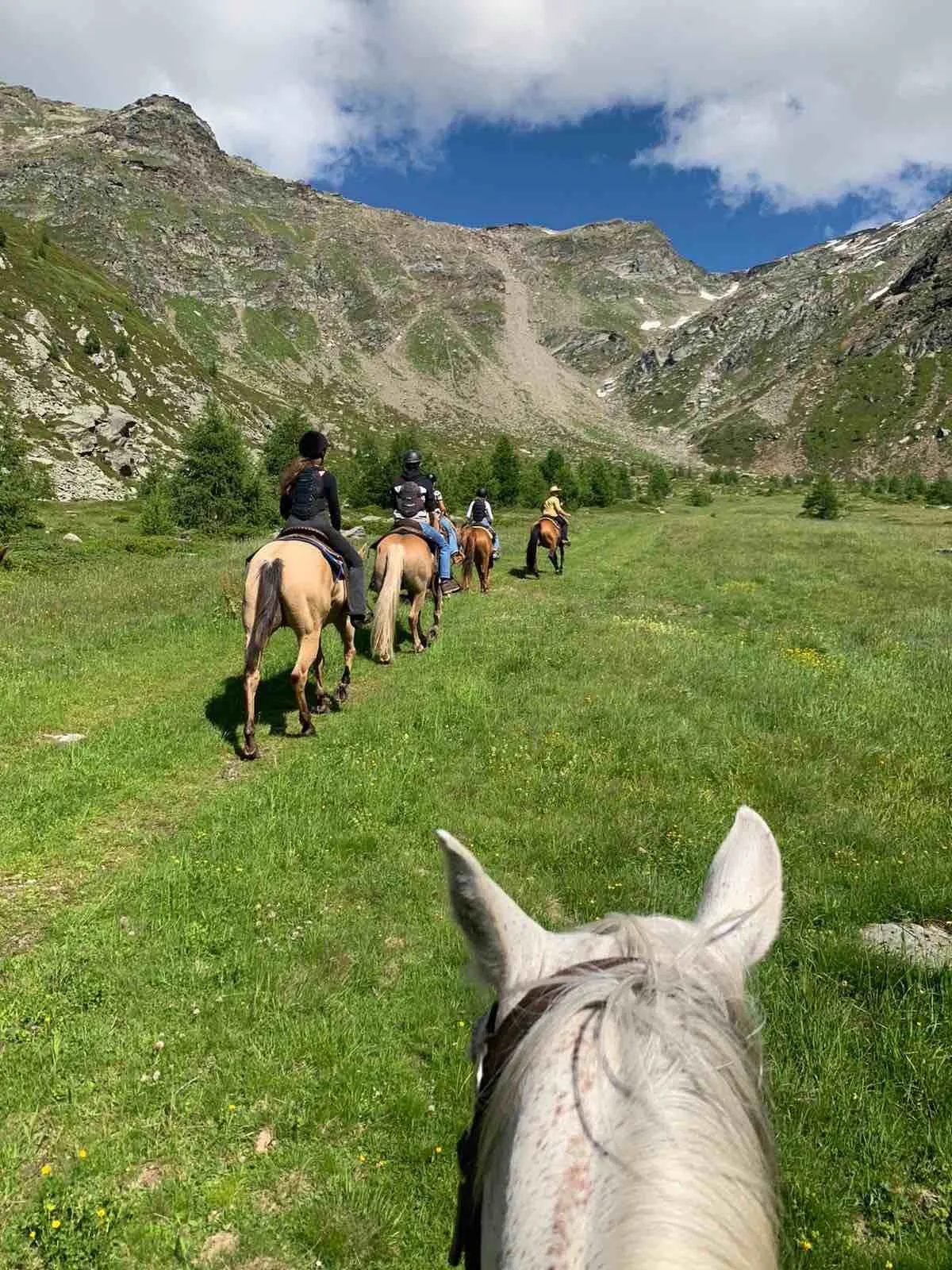 Passeggiata a cavallo a Madesimo