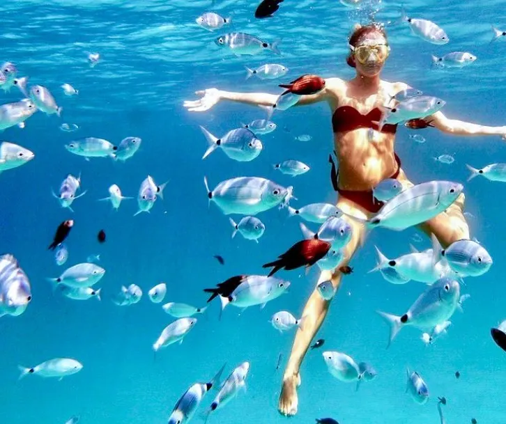 Gita in barca privata all'Isola Tavolara da Olbia