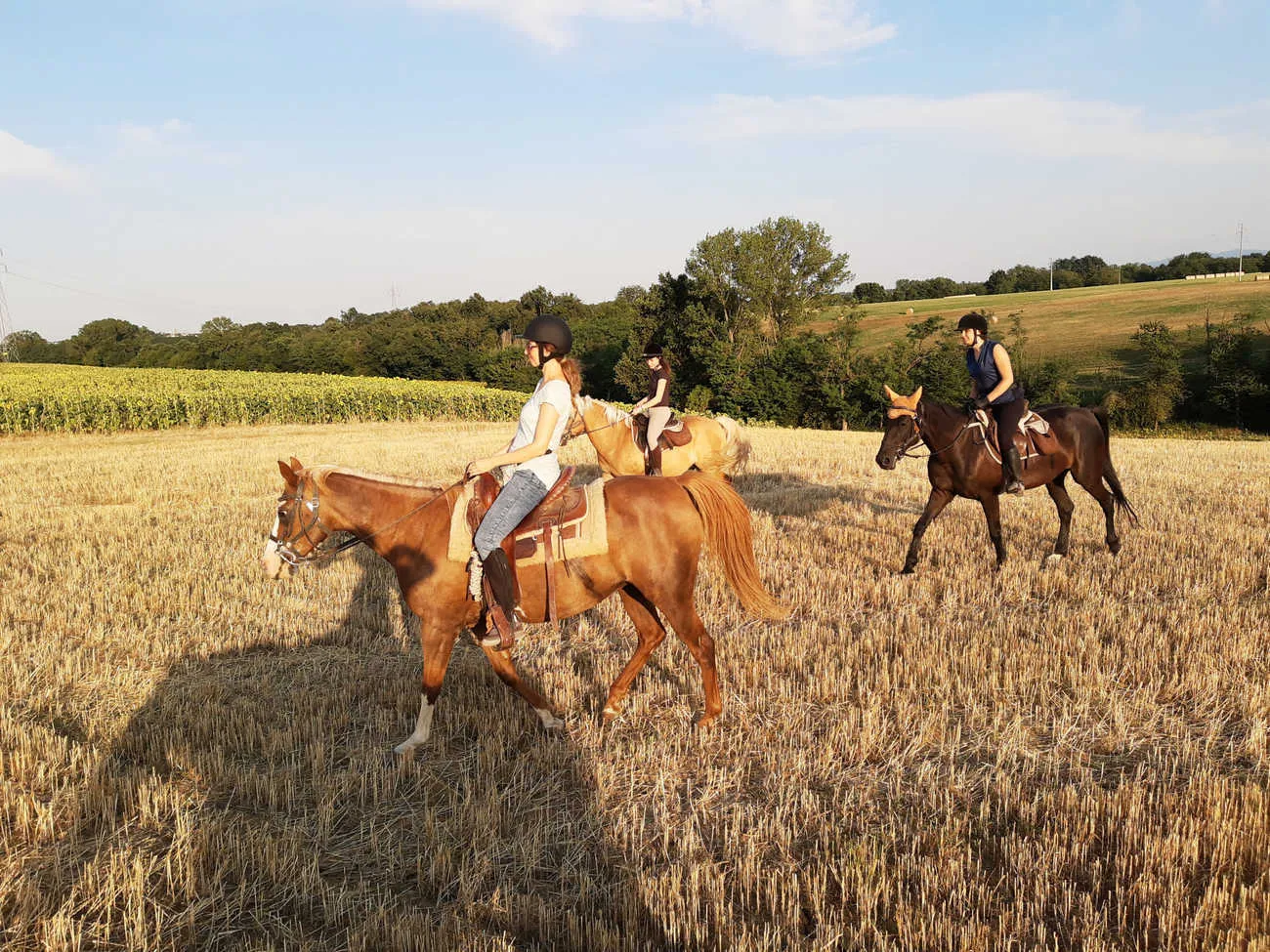 Passeggiata a cavallo nel Parco dello Stirone emiliano
