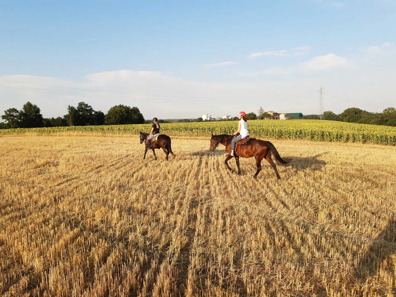 Passeggiata a cavallo nel Parco dello Stirone emiliano