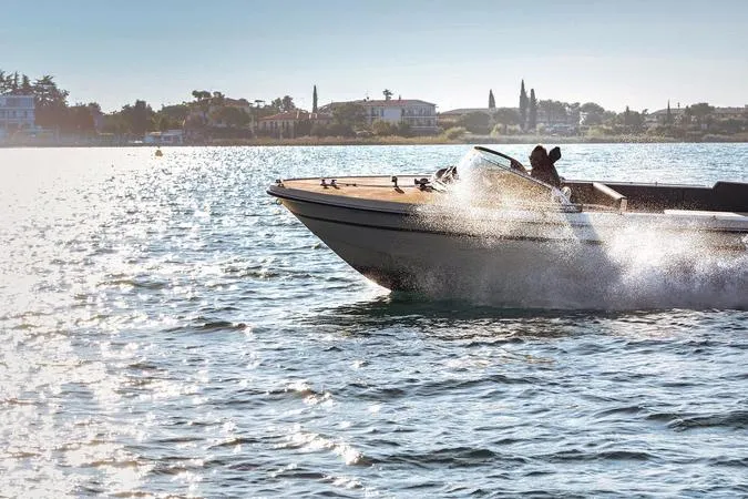 Giro in barca privato all'Isola del Garda da Sirmione