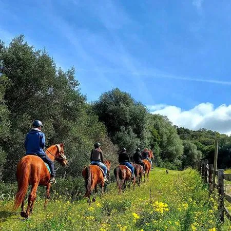 Passeggiata a cavallo in campagna nella Gallura