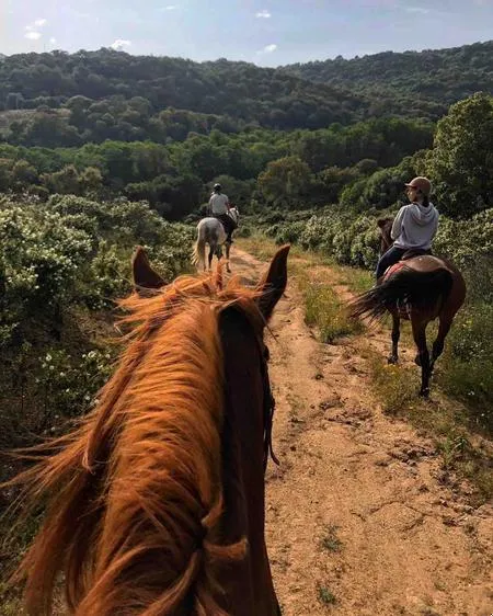 Passeggiata a cavallo in campagna nella Gallura
