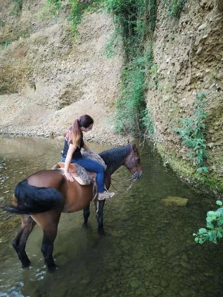Passeggiata a cavallo a San Maurizio Canavese