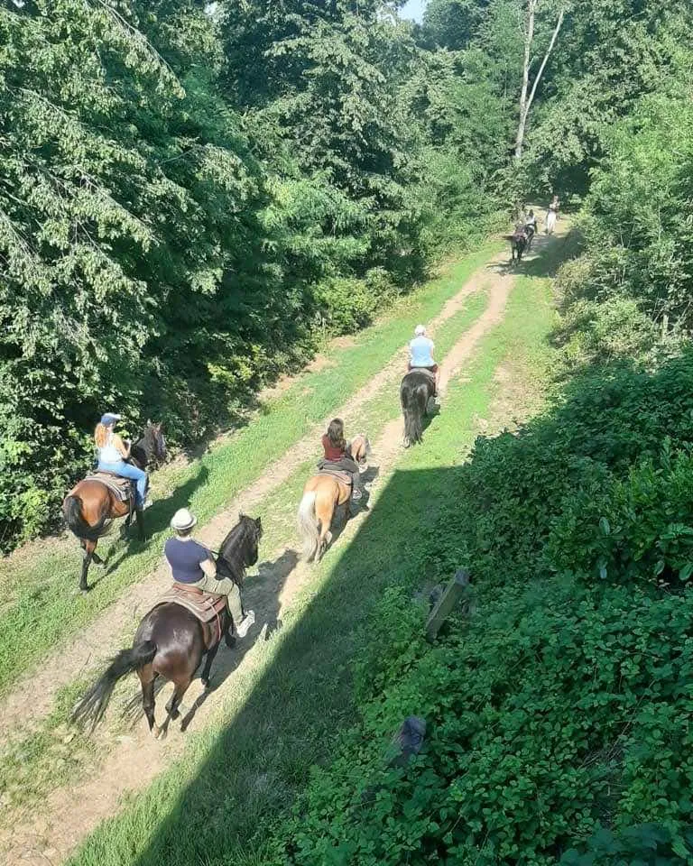 Passeggiata a cavallo a San Maurizio Canavese