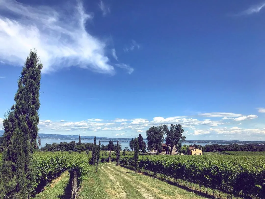Tour Valtenesi e degustazione al lago di Garda