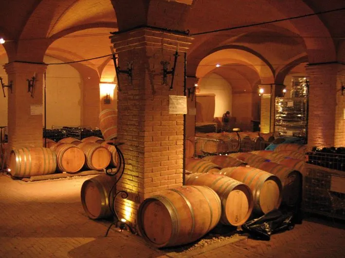 Degustazione vini al lago di Garda e pranzo in agriturismo