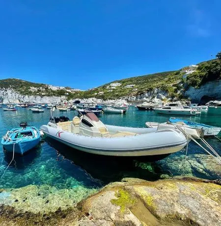 Giornata in gommone a Ponza e Palmarola