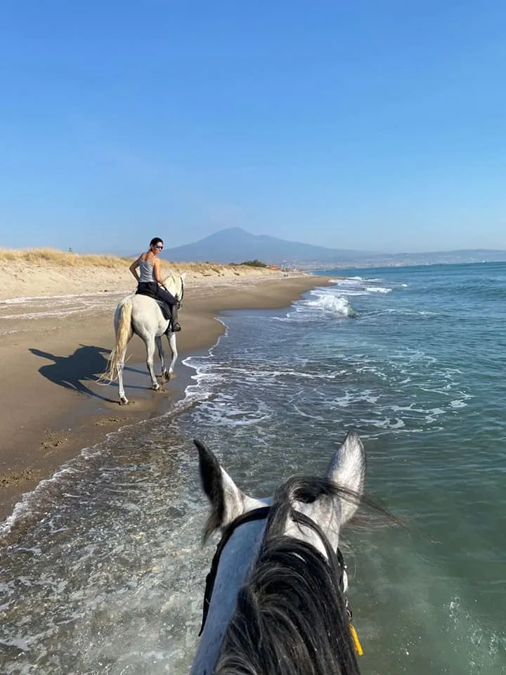 Passeggiata a cavallo in riva al mare a Catania