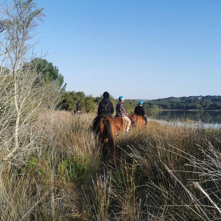 Passeggiata a cavallo in riva al mare ad Alghero