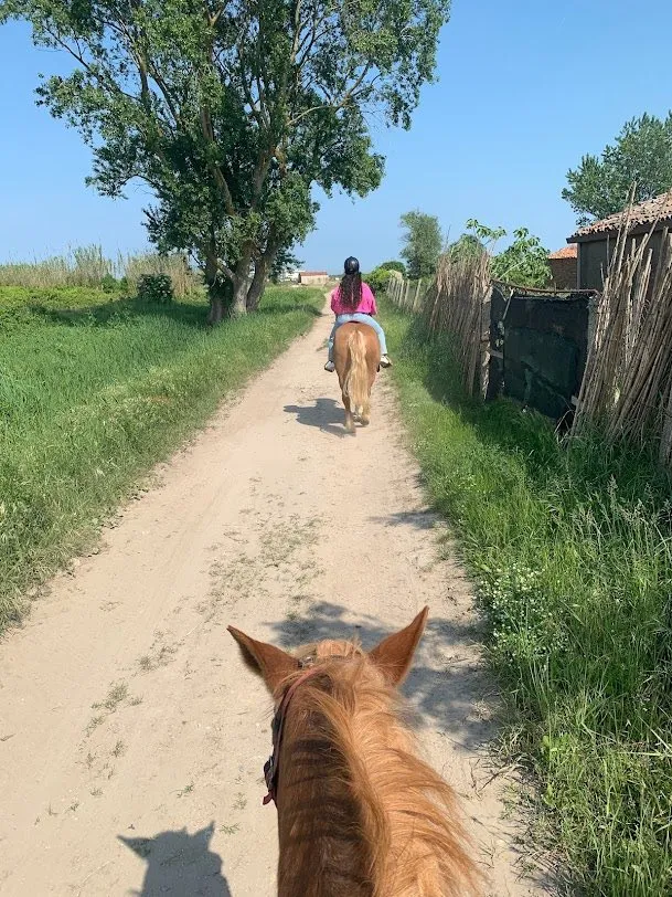 Passeggiata a cavallo in riva al mare a Chioggia
