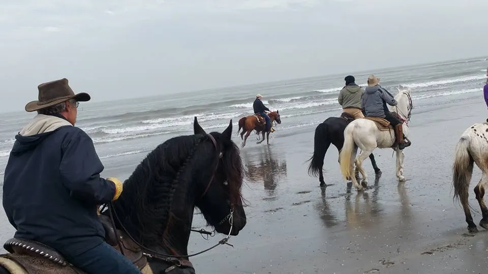 Passeggiata a cavallo in riva al mare a Chioggia