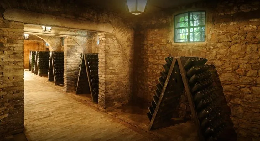 Degustazione in tenuta in Emilia