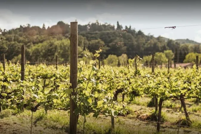 Degustazione in tenuta in Emilia