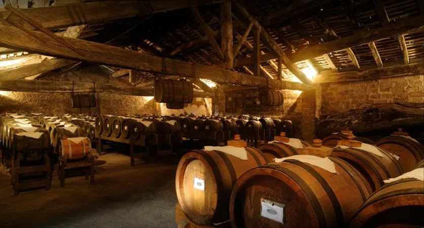 Degustazione in tenuta in Emilia