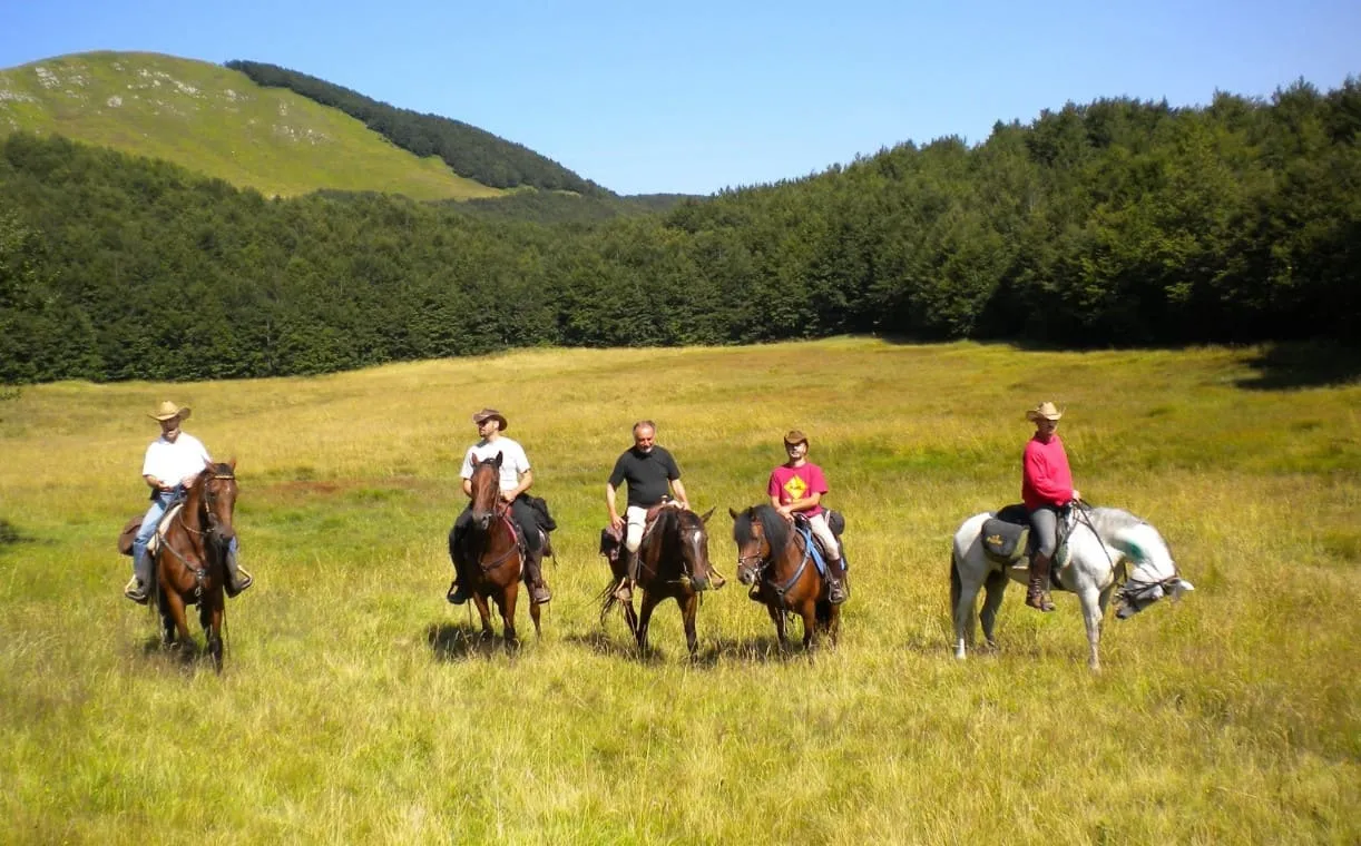 Passeggiata a cavallo sull'Adda