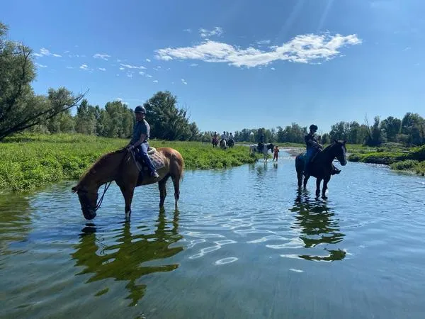 Passeggiata a cavallo lungo il fiume Serio