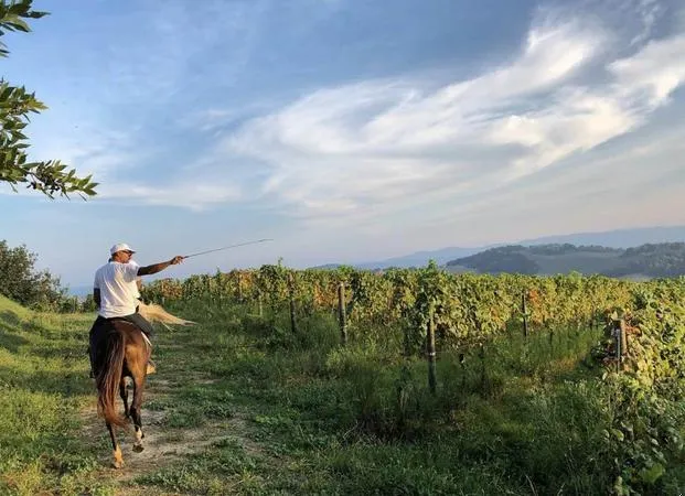 Passeggiata a cavallo nel Parco San Bartolo