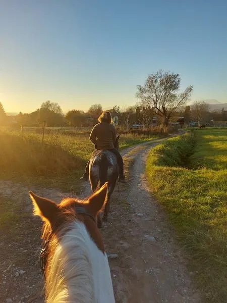 Passeggiata a cavallo al Lago Maggiore