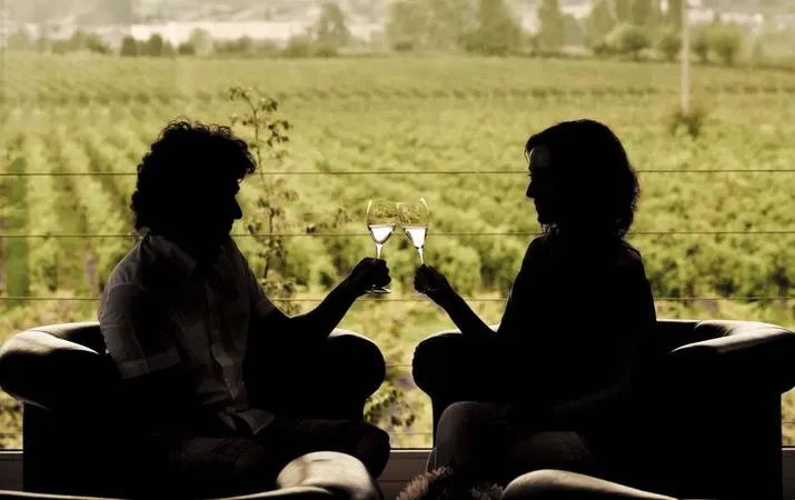 Visita in vigna e in cantina con degustazione in Franciacorta