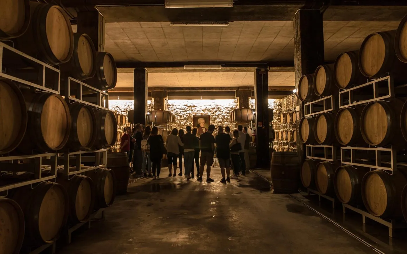 Visita in vigna e in cantina con degustazione in Franciacorta