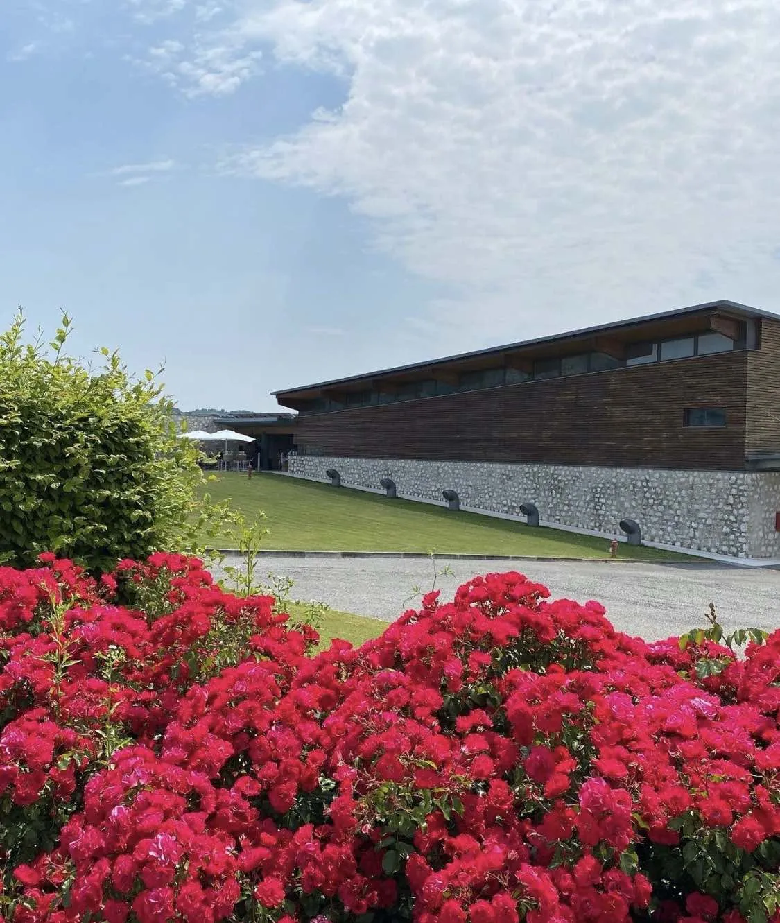 Visita in vigna e in cantina con degustazione in Franciacorta